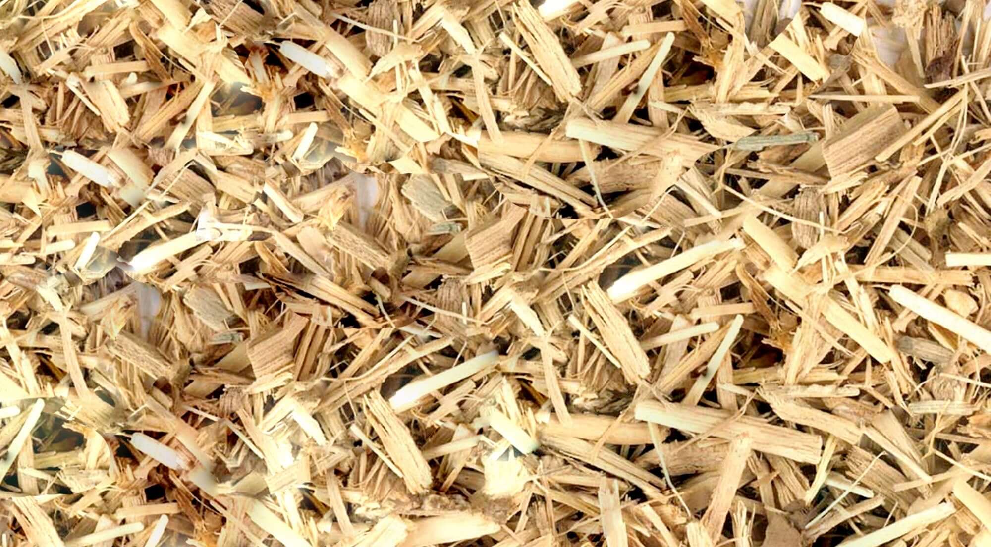 Chopped Sacred Plant Co Eleuthero Root with natural beige texture, showcasing premium herb quality and fibrous composition on a flat surface.