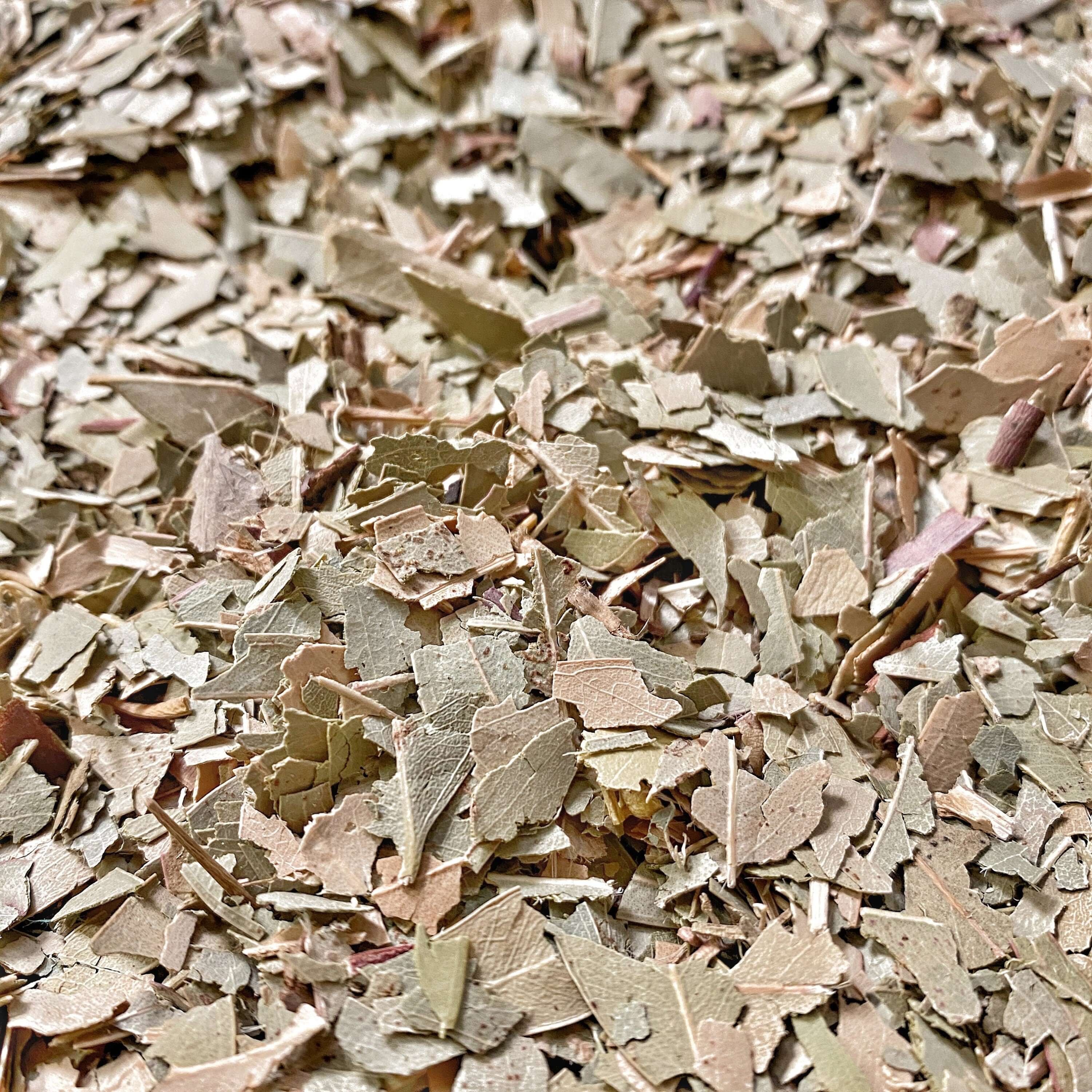 Dried Eucalyptus Leaves from Sacred Plant Co, close-up angle highlighting natural texture and mixed hues for premium quality and herbal uses.