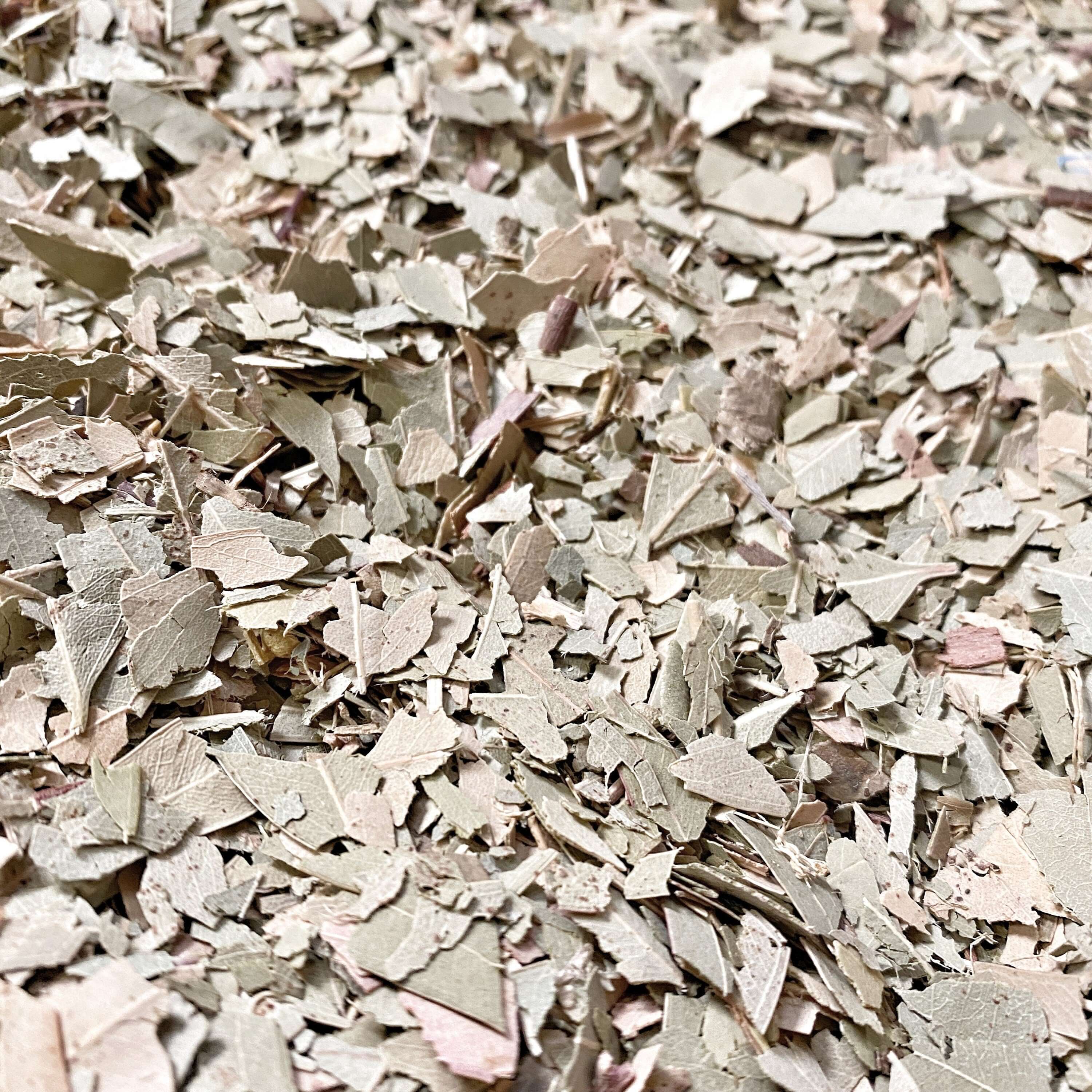 Finely chopped Eucalyptus Leaves from Sacred Plant Co, textured surface with muted green and brown shades, high-quality herbal product.