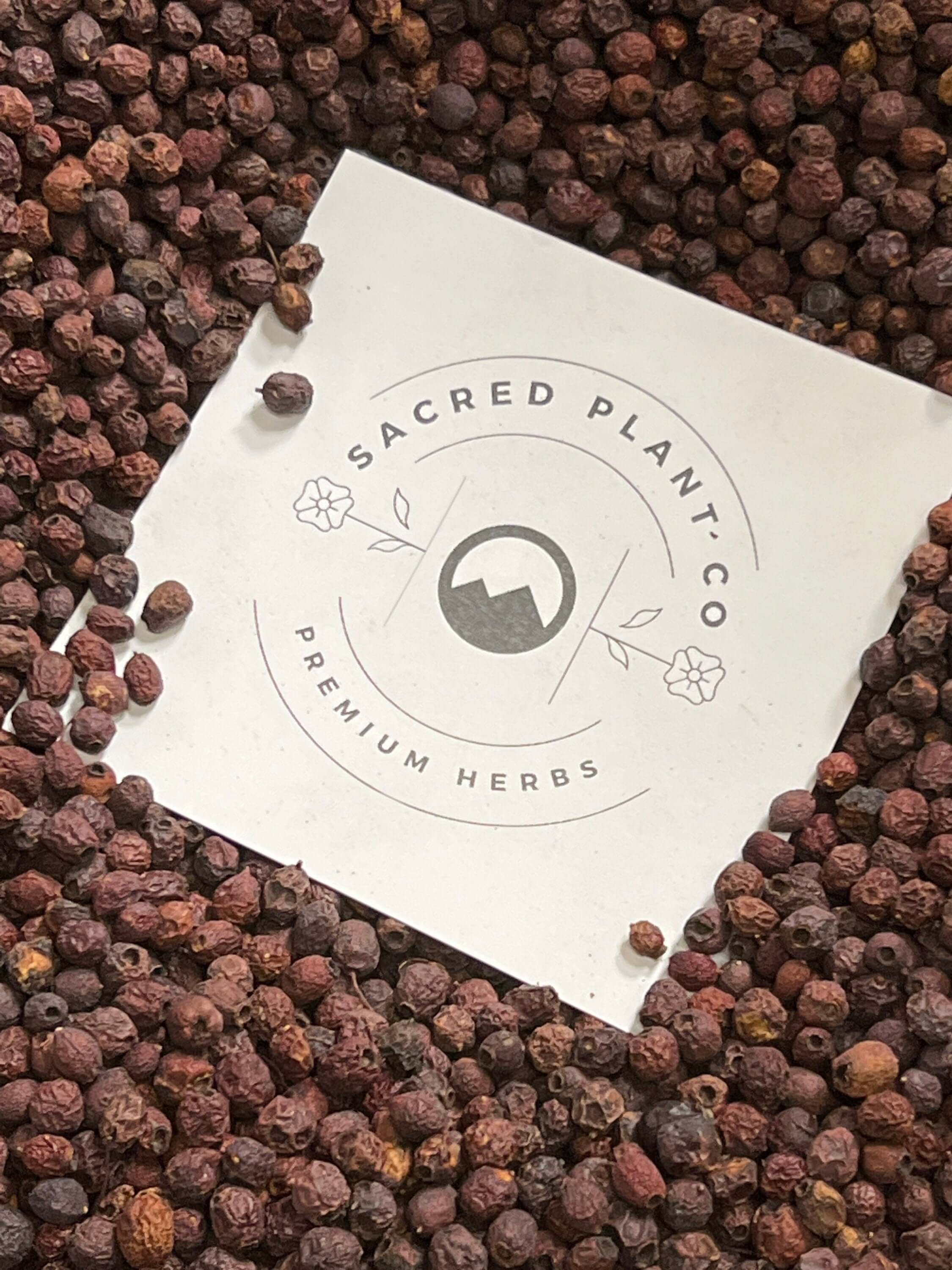 Close-up of deep red Hawthorn Berries surrounding Sacred Plant Co’s logo, showcasing premium quality and earthy textures.