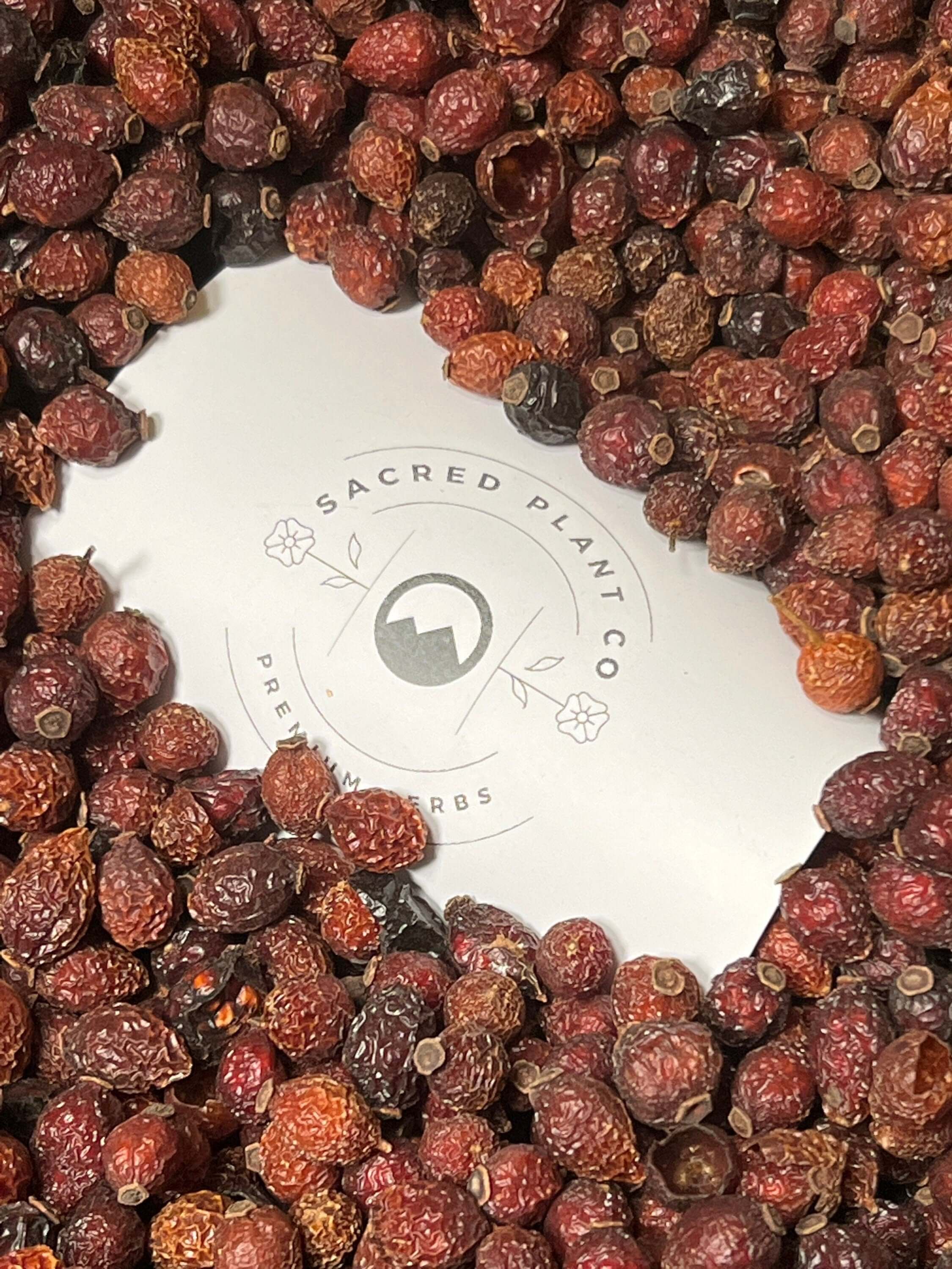 Close-up of wrinkled, dried Rose Hips surrounding Sacred Plant Co’s logo, highlighting the rich, earthy texture against a natural backdrop.