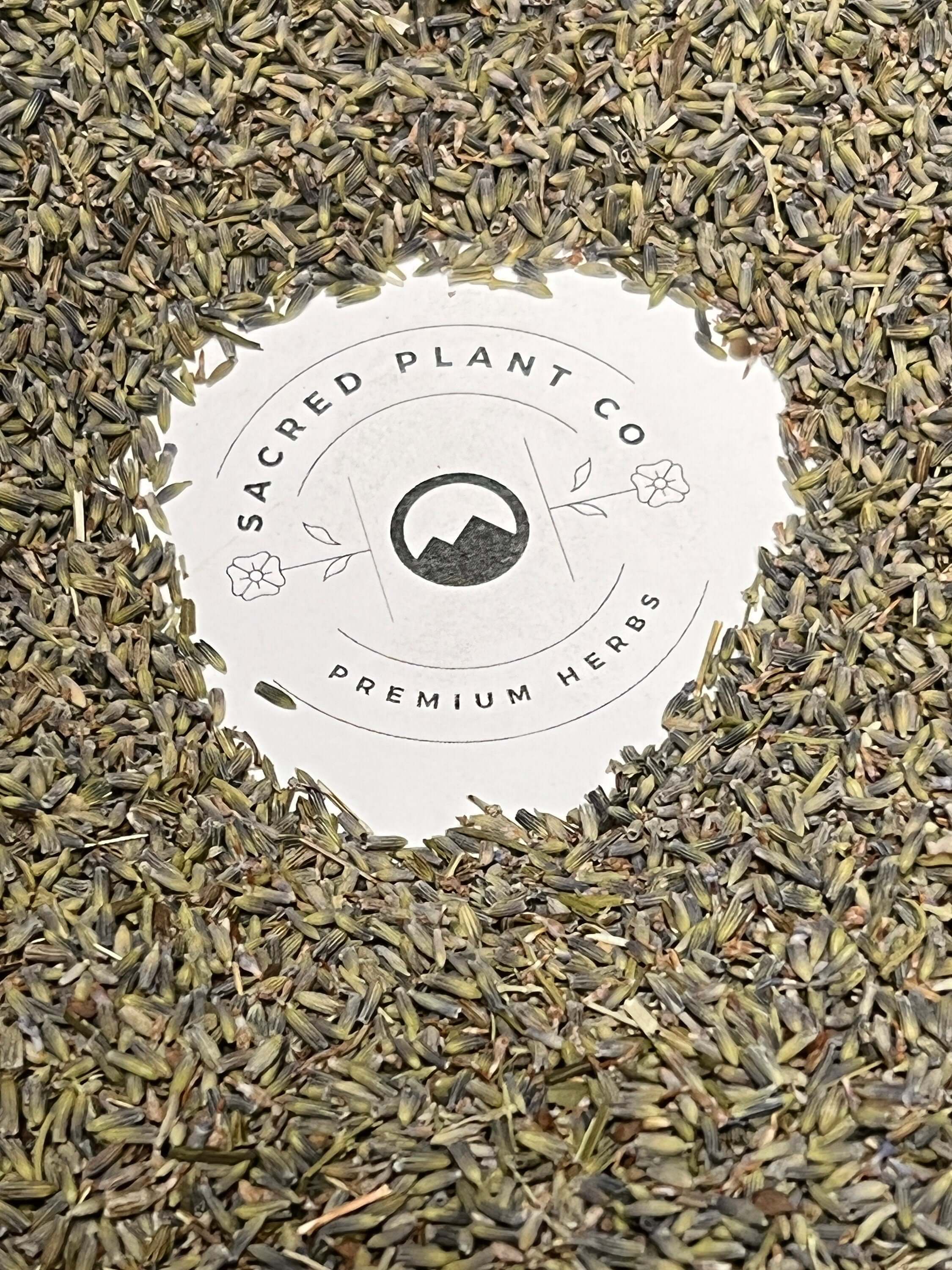 Lavender buds spread around the Sacred Plant Co logo, emphasizing the organic, high-quality lavender offered by the brand.