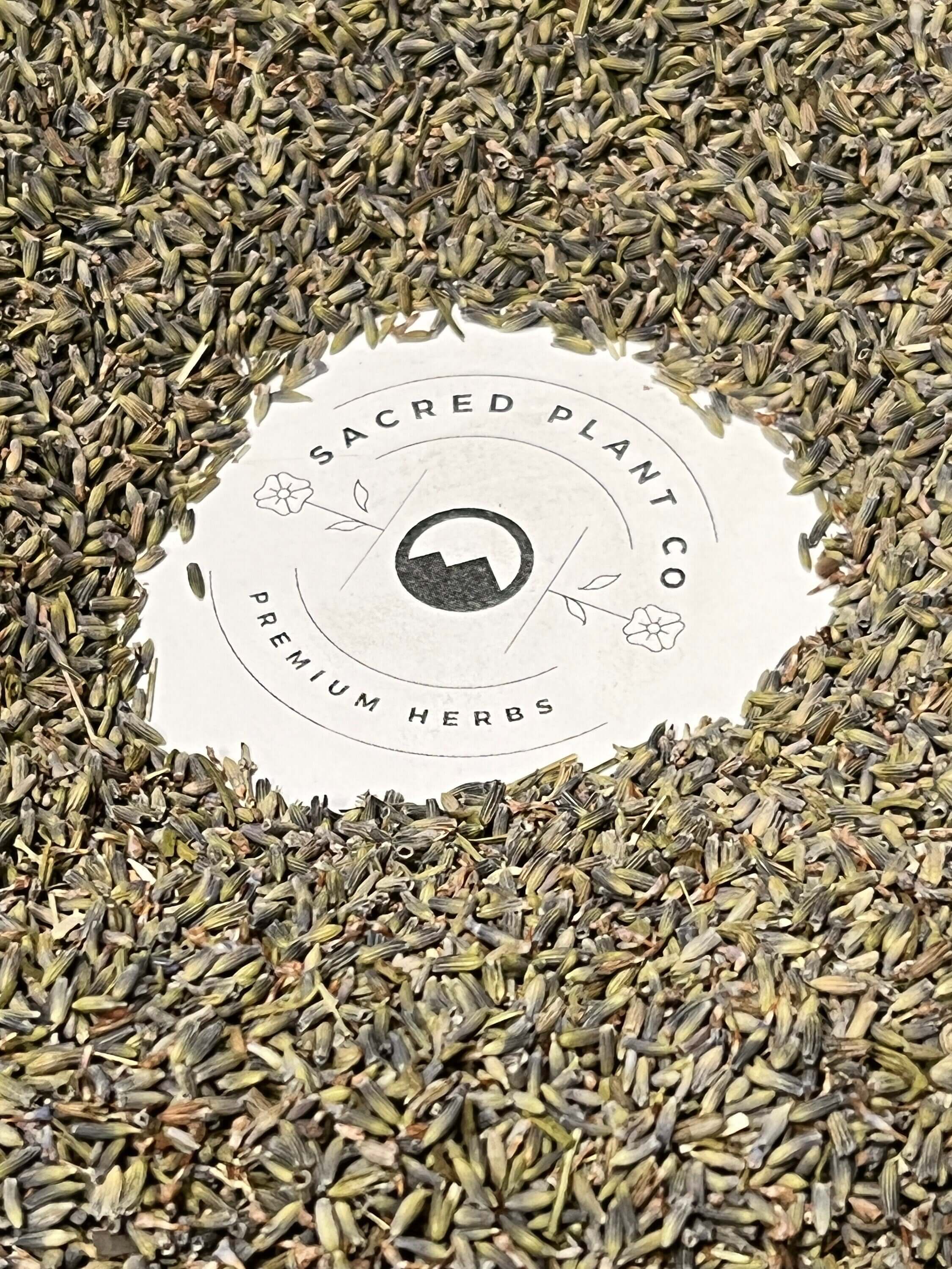Sacred Plant Co label surrounded by dried Lavender buds, showcasing the brand’s premium, freshly harvested herbs.