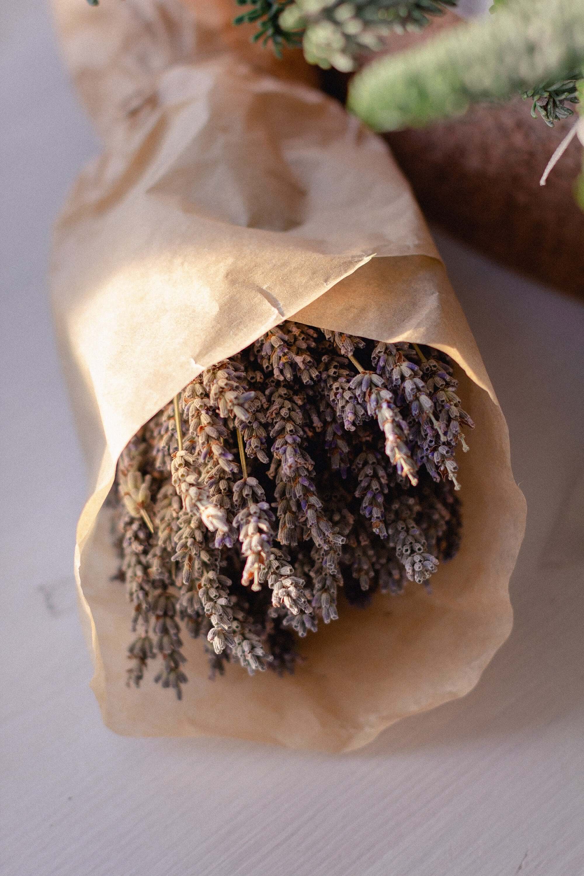 A rustic paper bundle of Sacred Plant Co dried Lavender, capturing the aromatic and organic essence of freshly harvested premium Lavender Flowers on a light surface.