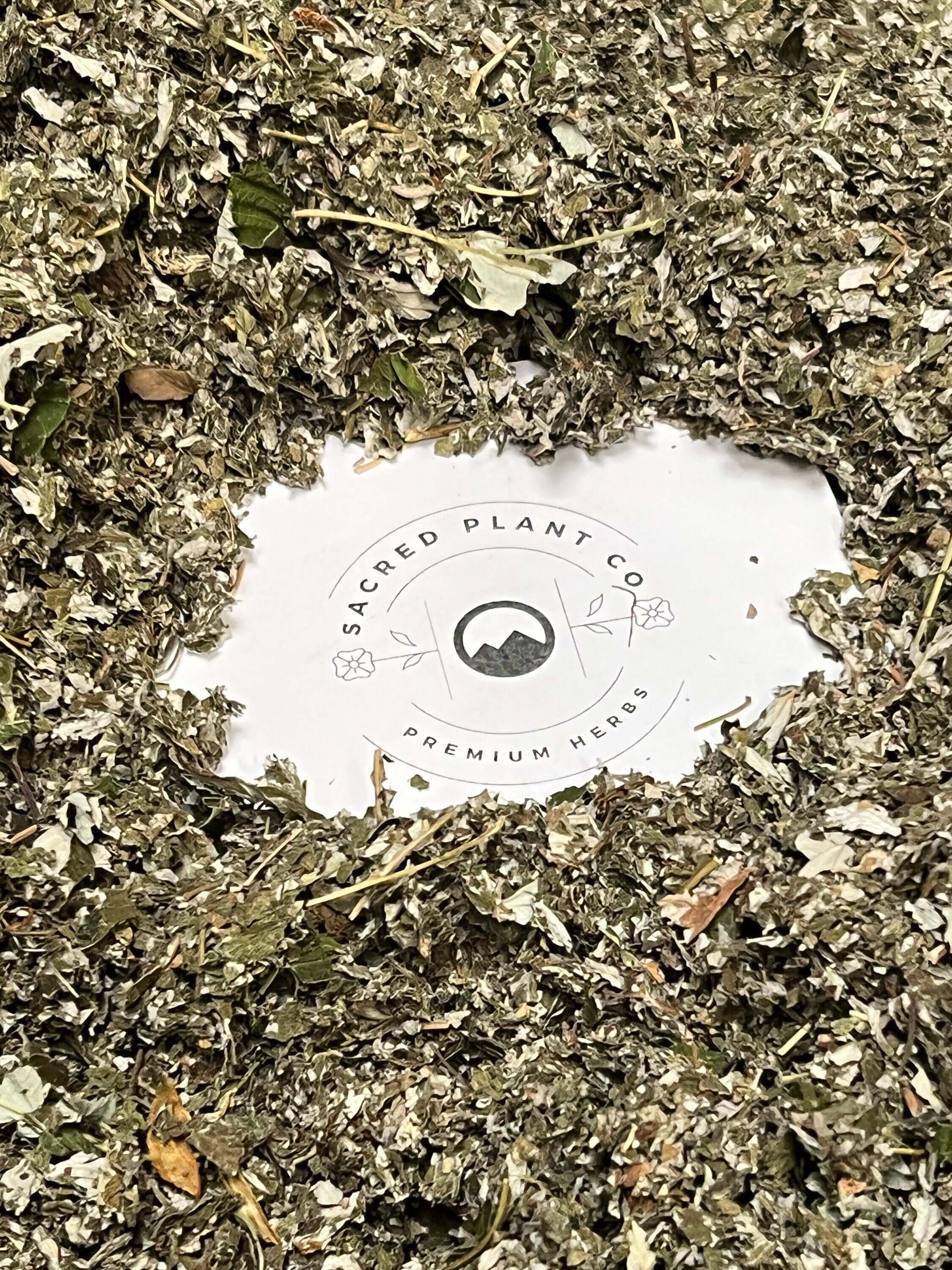 Premium Sacred Plant Co’s Raspberry Leaf herbs encircle the company logo, showcasing high-quality dried natural herbs.