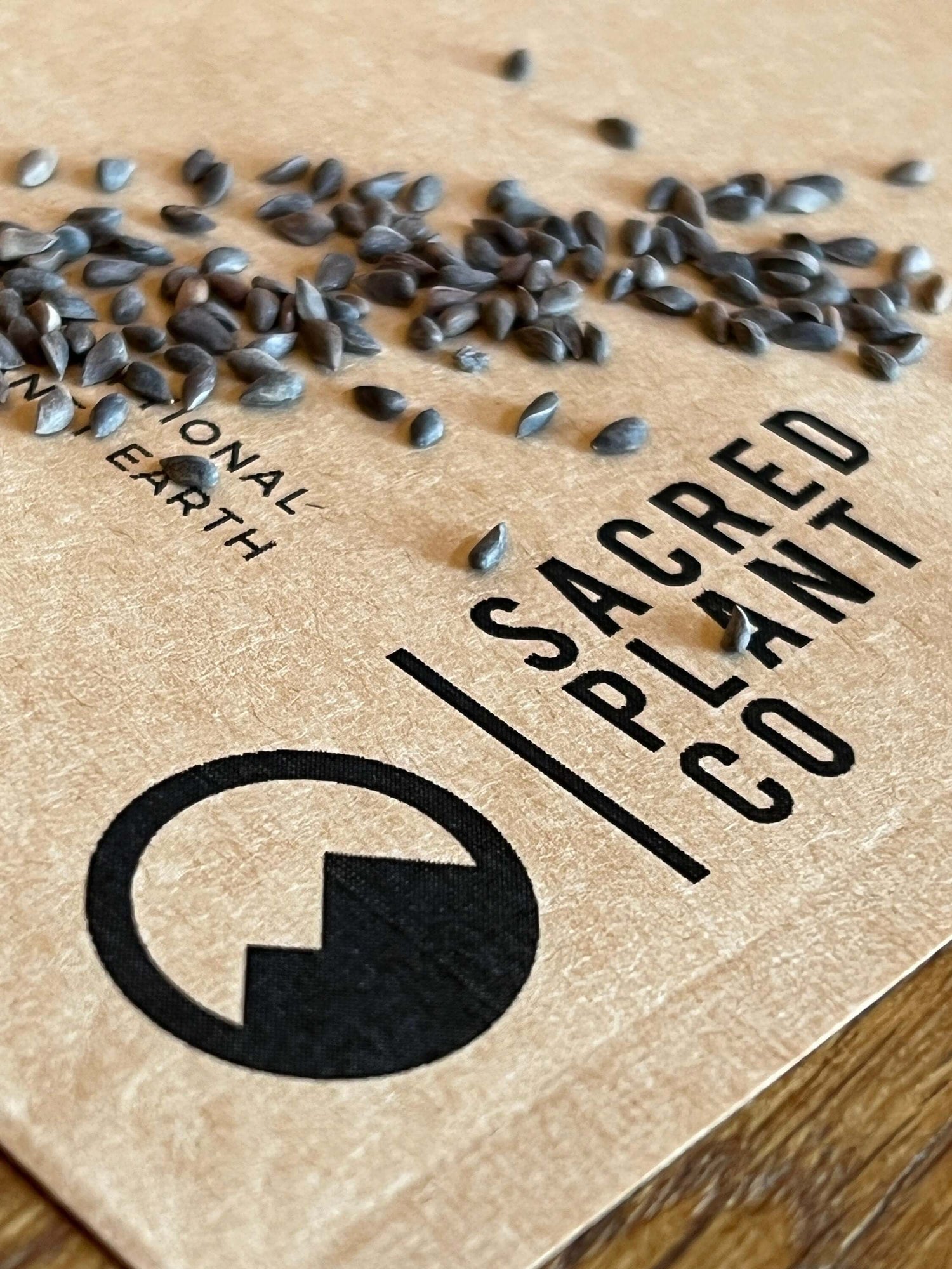 Close-up Blue Spruce Seeds on Sacred Plant Co.