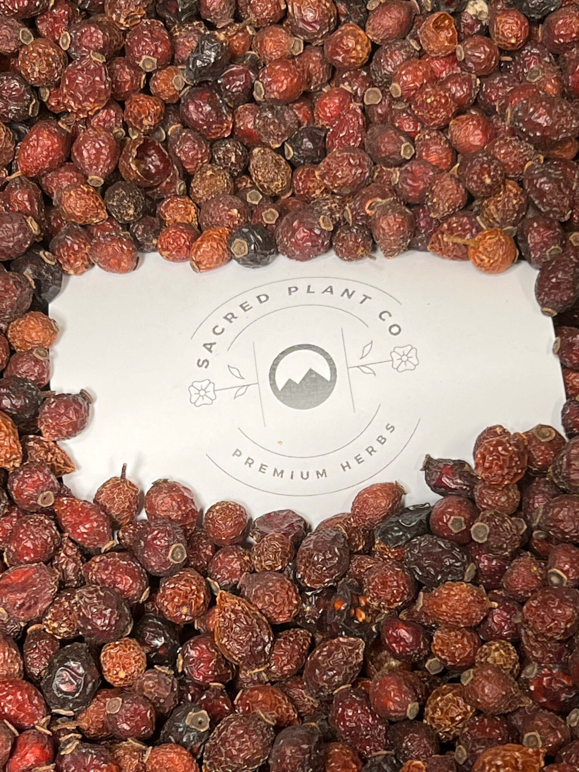Deeply textured, sun-dried Rose Hips scattered around Sacred Plant Co’s logo, framed by the organic setting of premium wildcrafted herbs.
