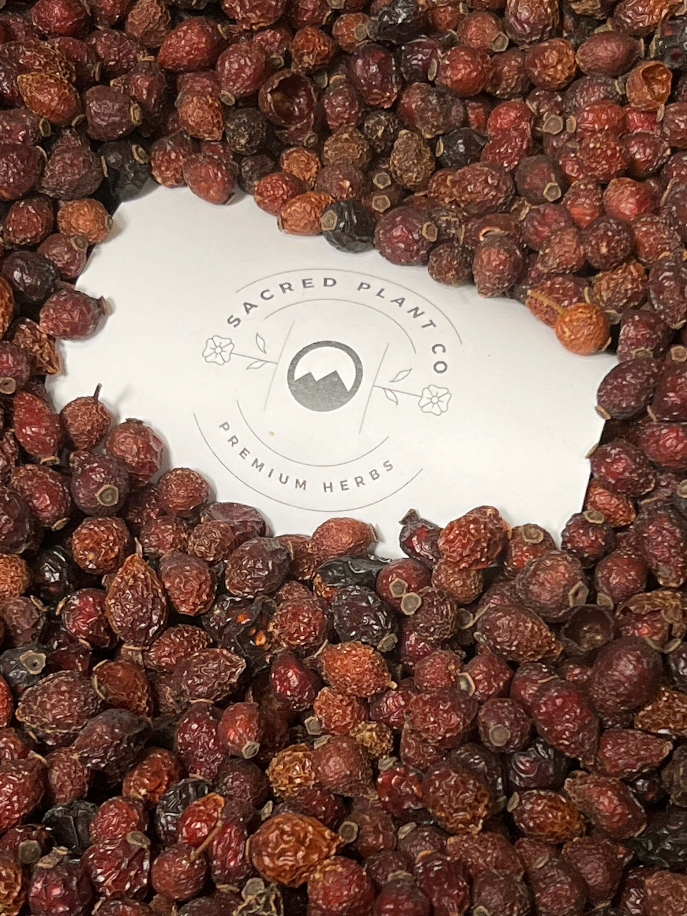 Close-up of rugged, wrinkled dried Rose Hips encircling Sacred Plant Co’s logo, showcasing their rich texture and earthy, natural red tones.