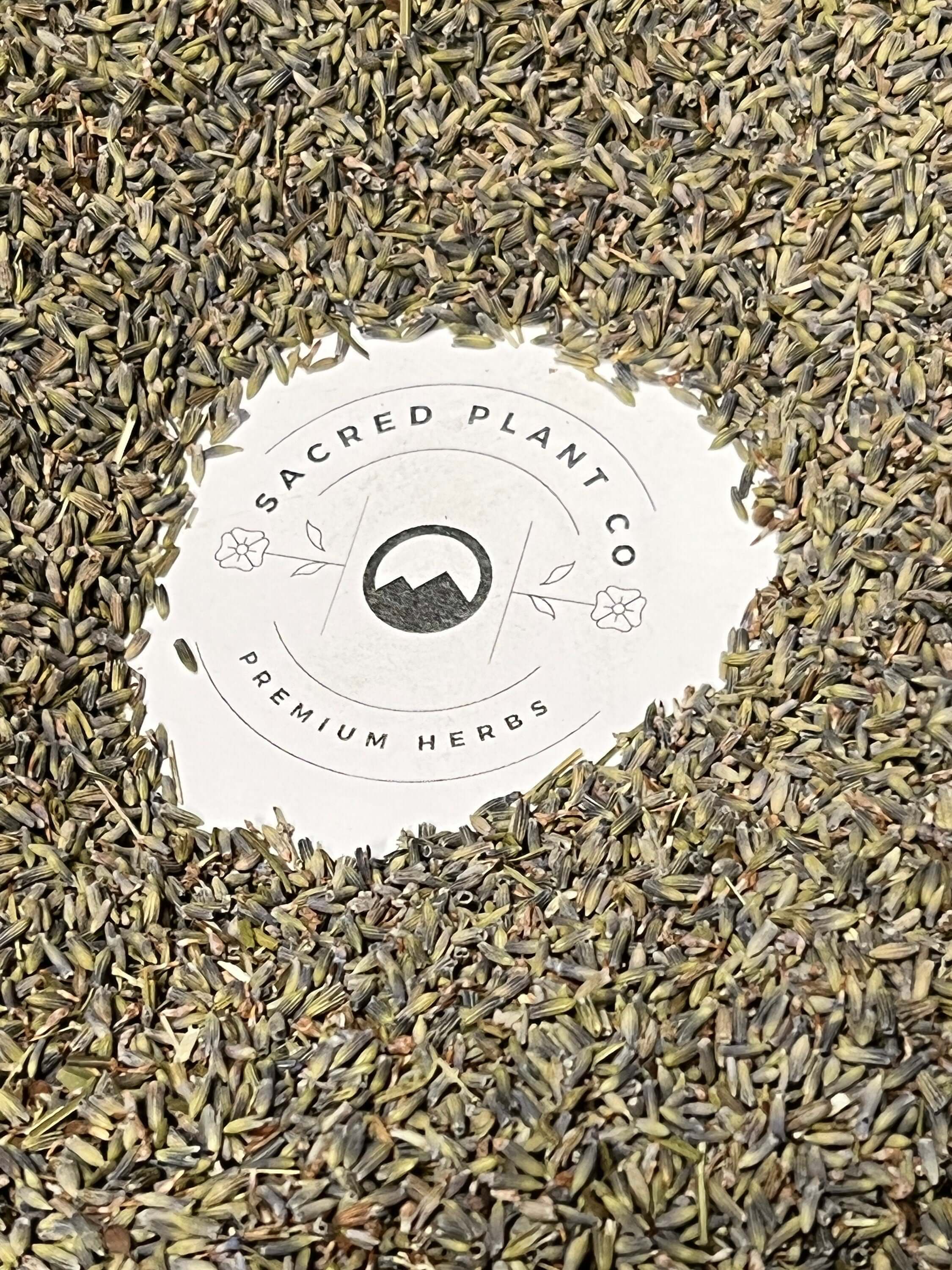 Lavender buds scattered around the Sacred Plant Co label, highlighting premium quality, freshness, and organic cultivation.