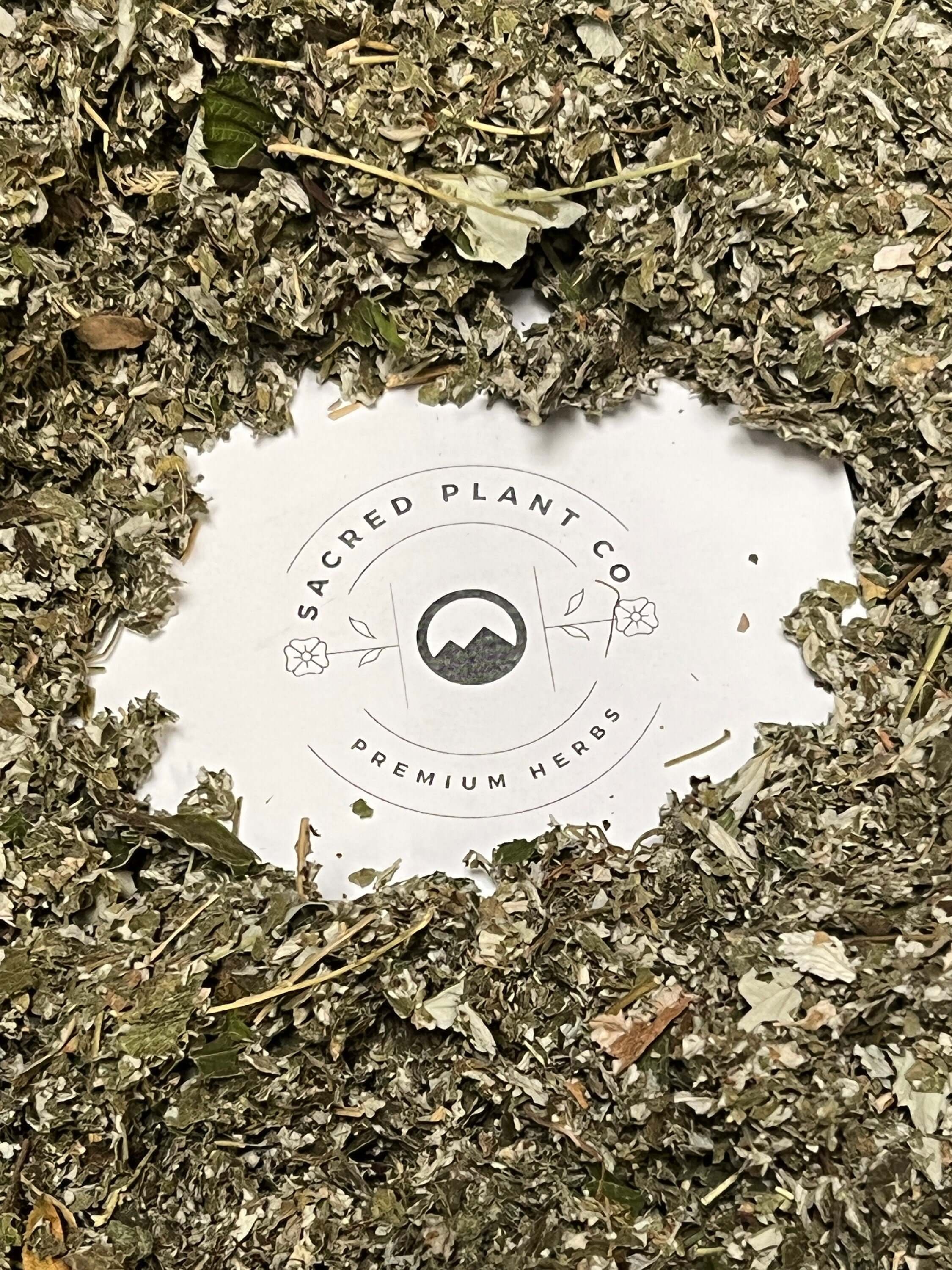 Sacred Plant Co logo framed by premium dried Raspberry Leaf, highlighting their top-quality herbal offerings.