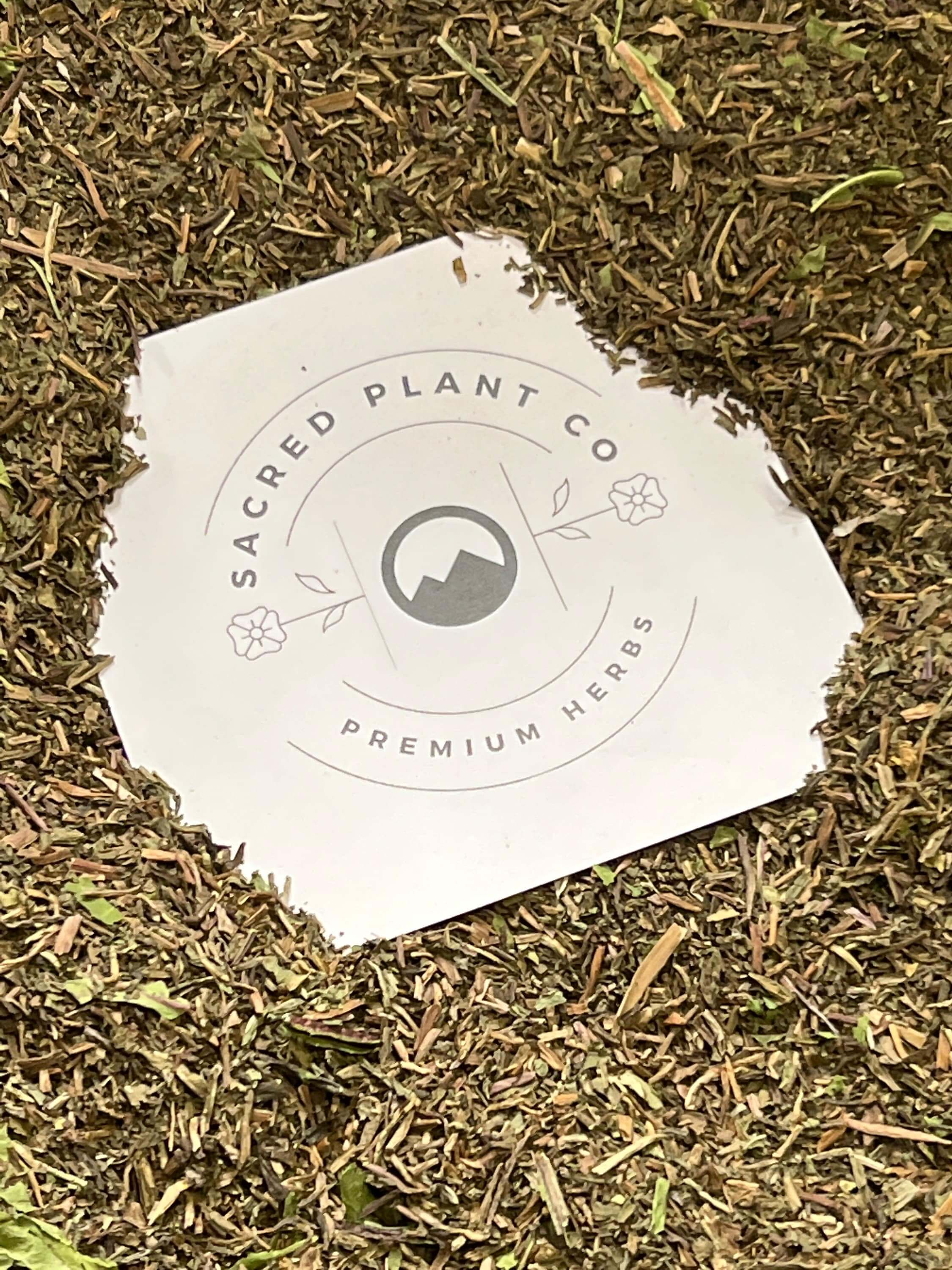 Organic Dandelion Leaf finely ground, vibrant green and brown tones, with Sacred Plant Co’s logo highlighting premium herb quality.