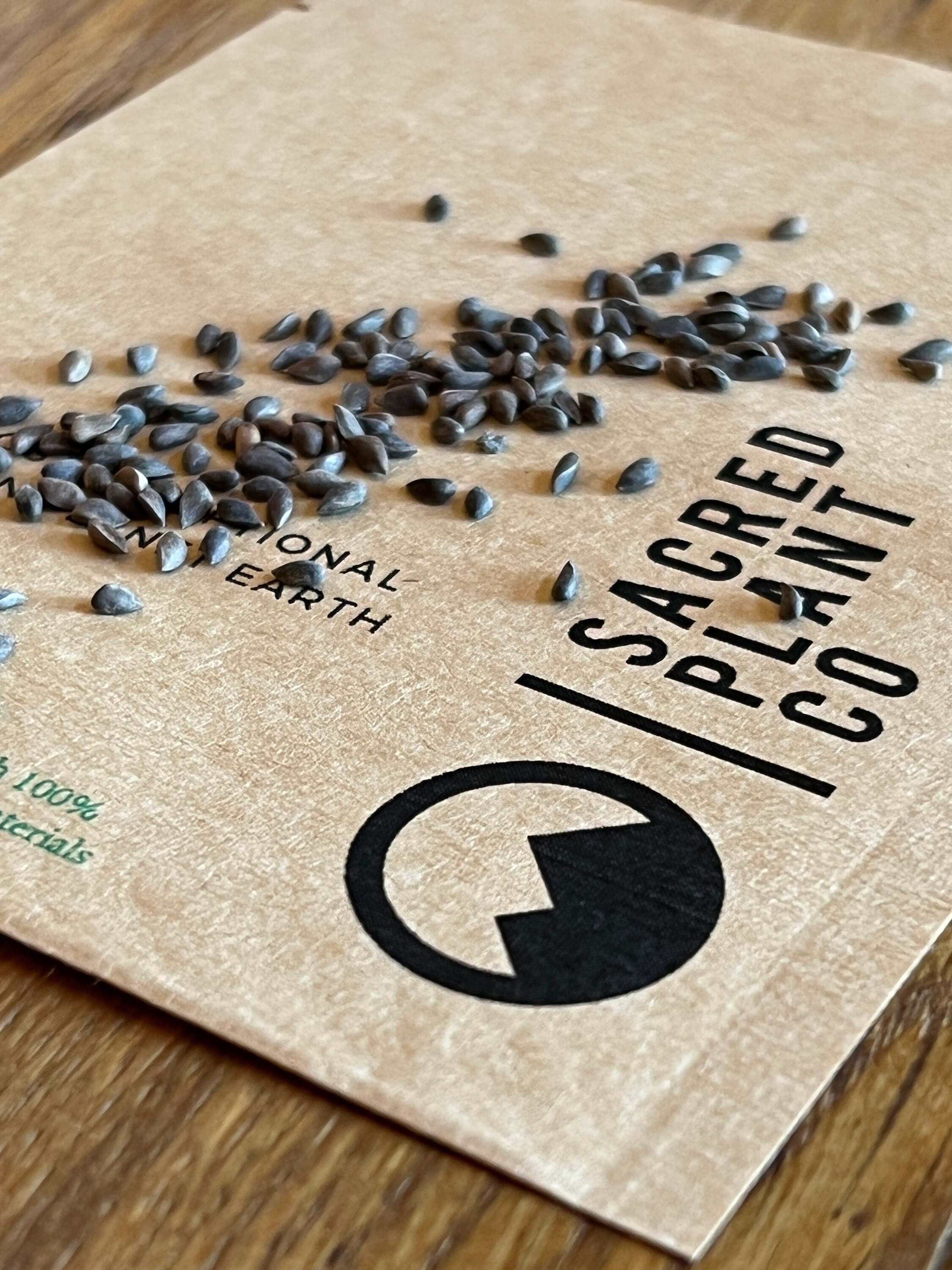 Close-up Blue Spruce Seeds on Sacred Plant Co seed package.