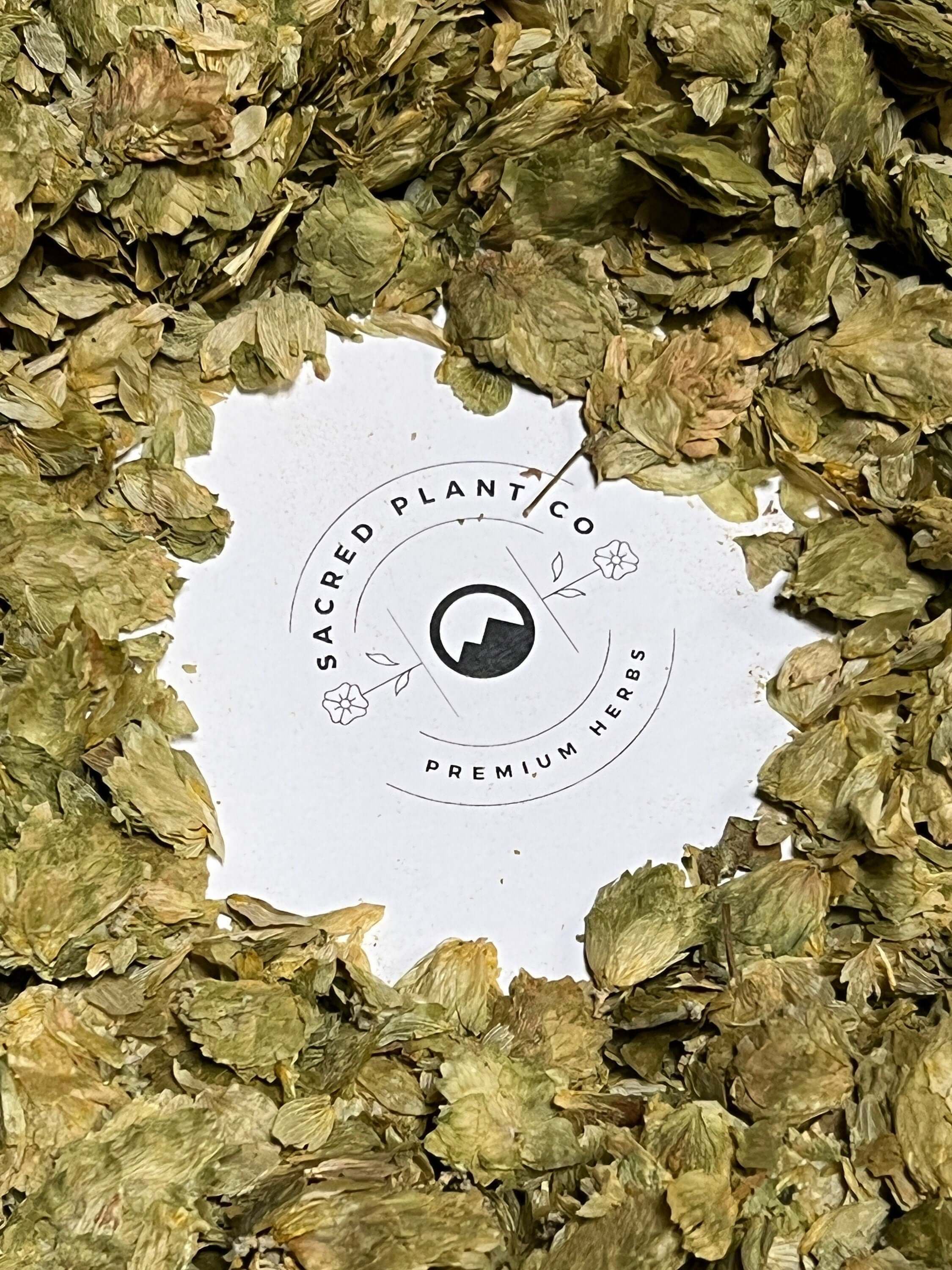 Premium dried Hops Flowers encircling Sacred Plant Co logo, featuring crisp textures and vibrant green hues.