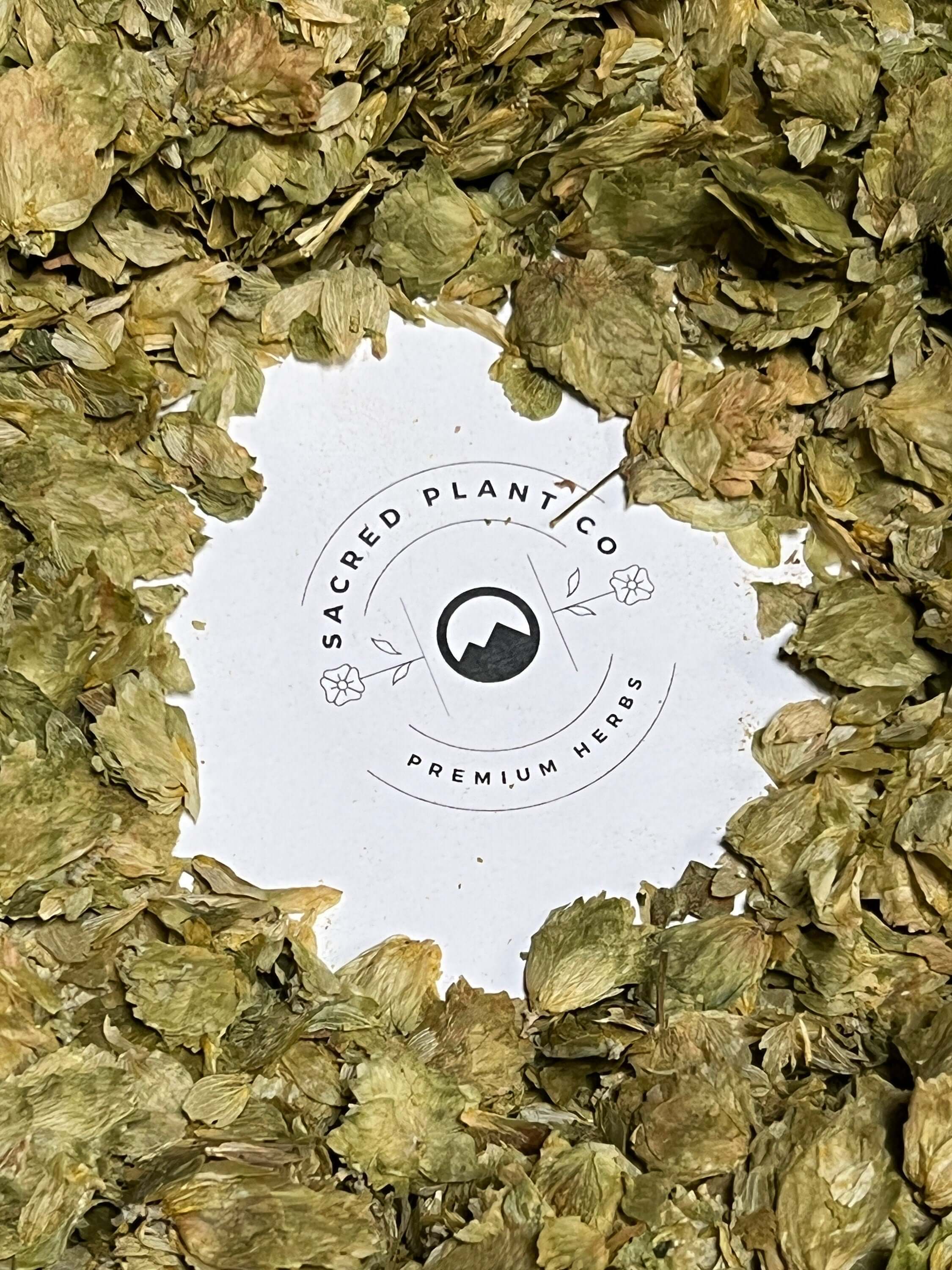 Freshly harvested Hops Flowers showcasing bright green hues, arranged around Sacred Plant Co’s signature logo.