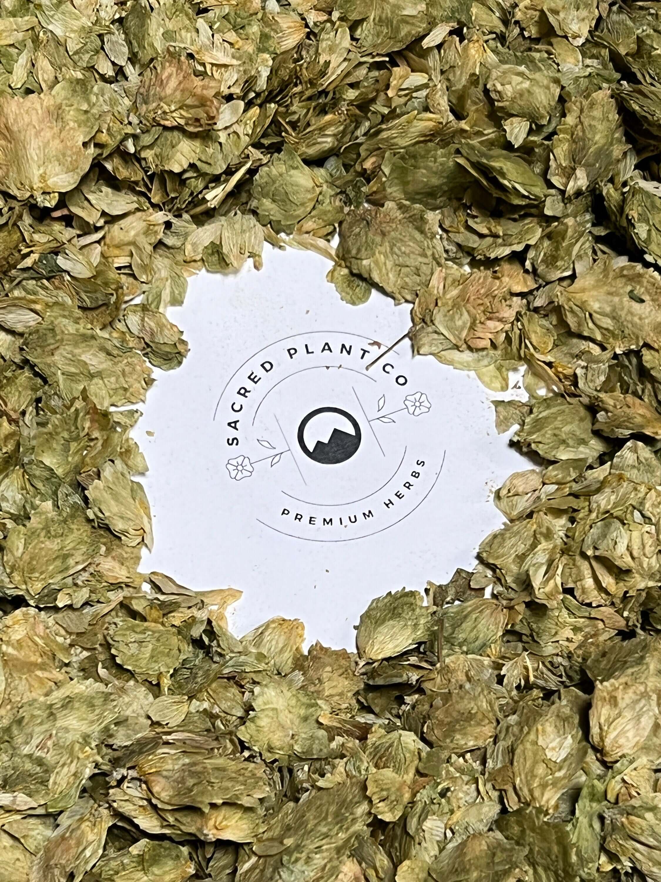Top-quality Sacred Plant Co Hops Flowers with fine, natural textures and deep green tones surrounding brand logo.