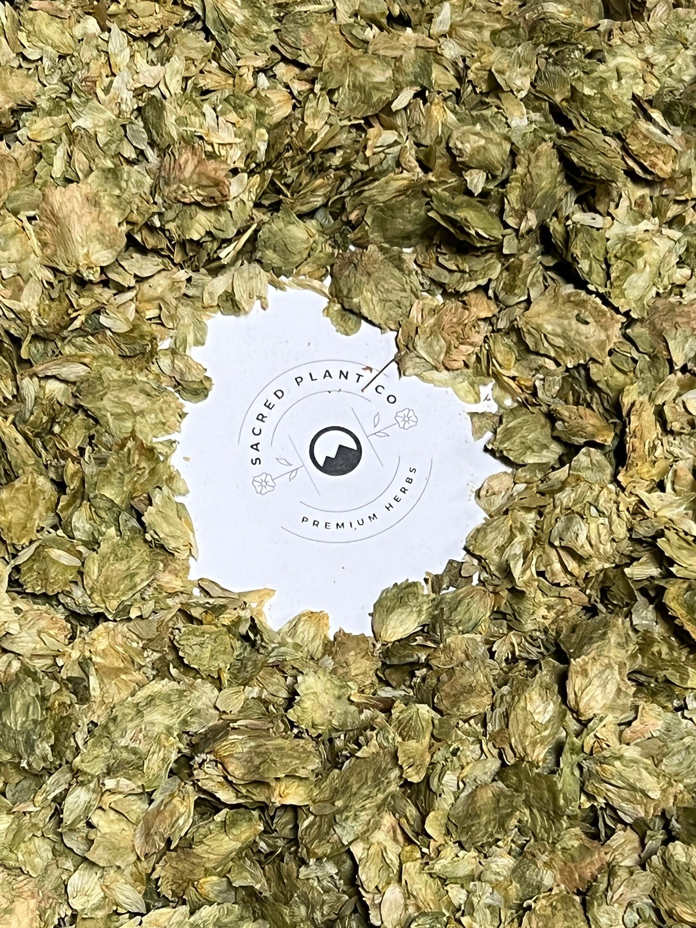 Close-up of Sacred Plant Co’s premium Hops Flowers with earthy textures and rich green tones encircling the logo.