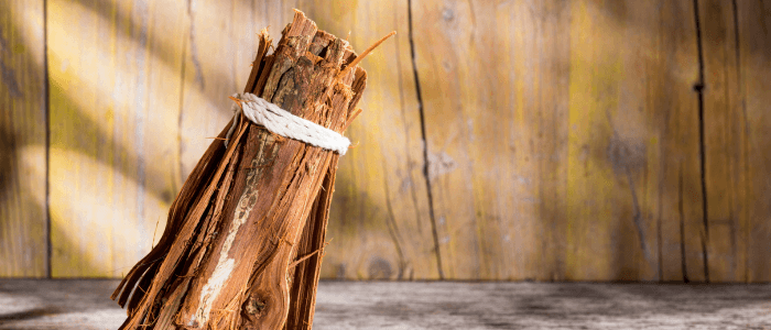 Cat's Claw Bark: The Amazon's Ancient Secret