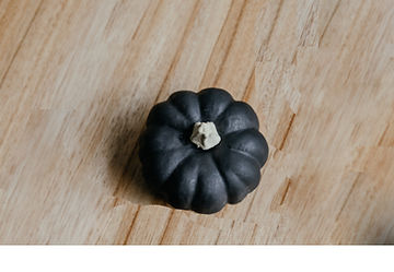 How to Grow Black Kat Pumpkins from Seed!