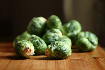 How to Grow Brussel Sprouts From Seeds