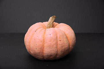 How to Grow Porcelain Doll Pink Pumpkin from Seed!