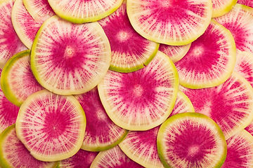 How to Grow Watermelon Radish From Seed