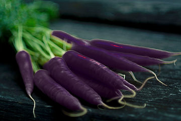 How to Grow Black Nebula Carrots From Seeds