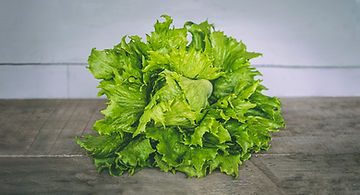 How to Grow Black Seeded Simpson Lettuce From Seed
