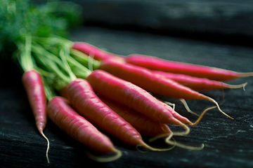 How to Grow Atomic Red Carrots From Seeds