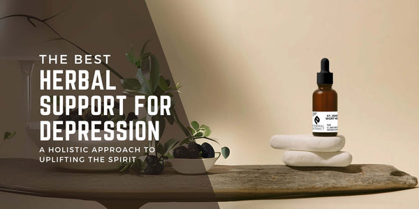 "The Best Herbal Support for Depression" banner showing a St. John's Wort extract bottle in warm light, representing natural, holistic herbal tinctures for emotional well-being and mood support.