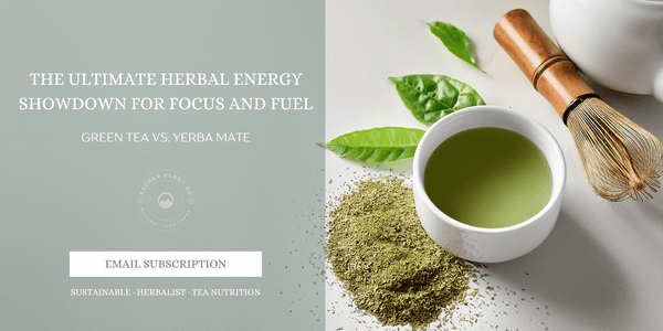 Green Tea vs Yerba Mate side-by-side comparison with vibrant powdered leaves and whisk on white background.