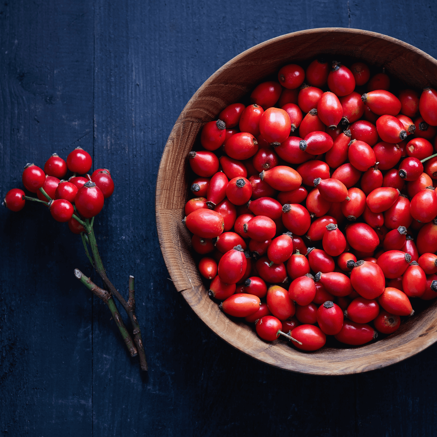 Bowl If Fresh Rose Hips
