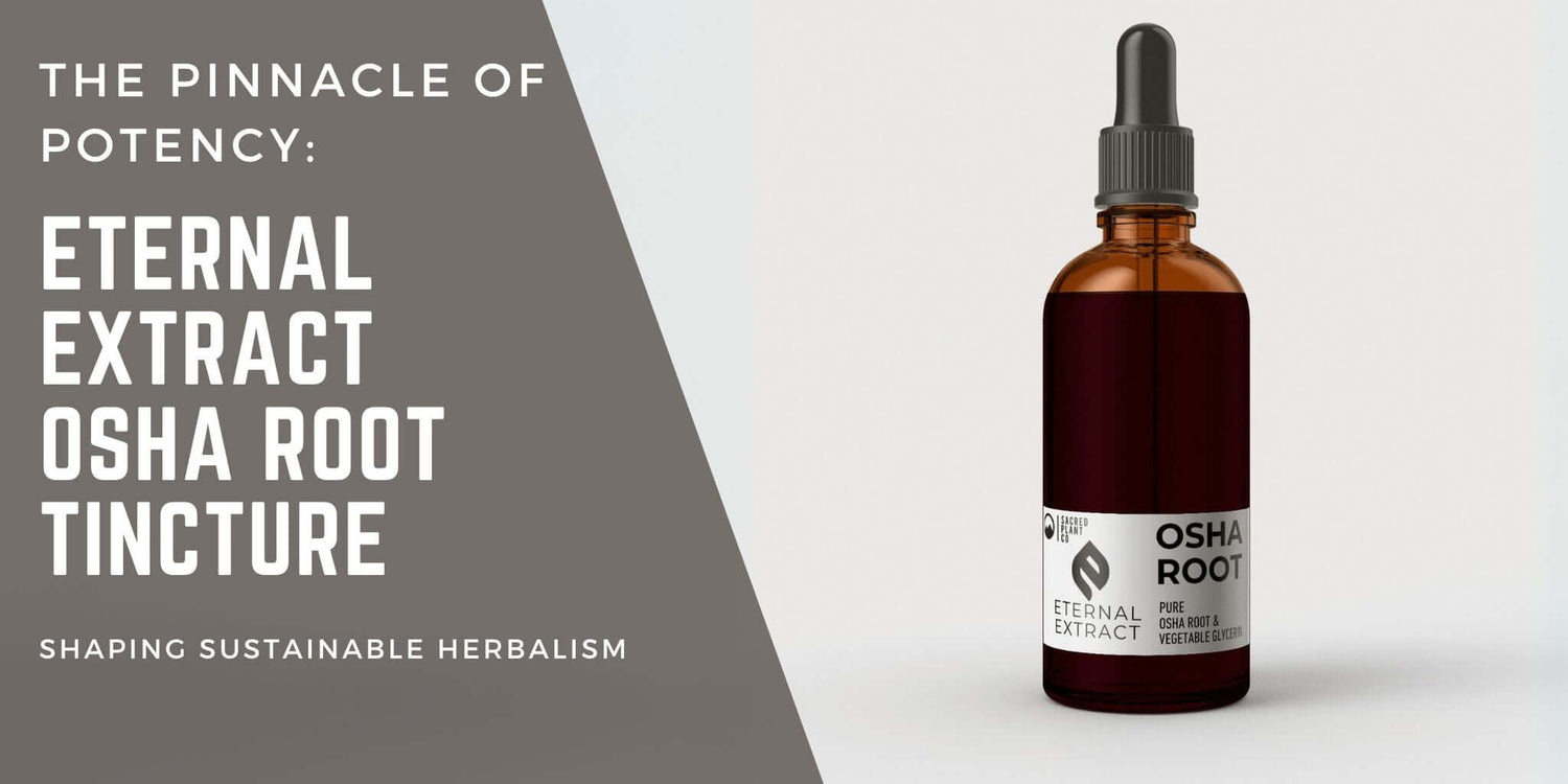 Alcohol Free Osha Extract Image