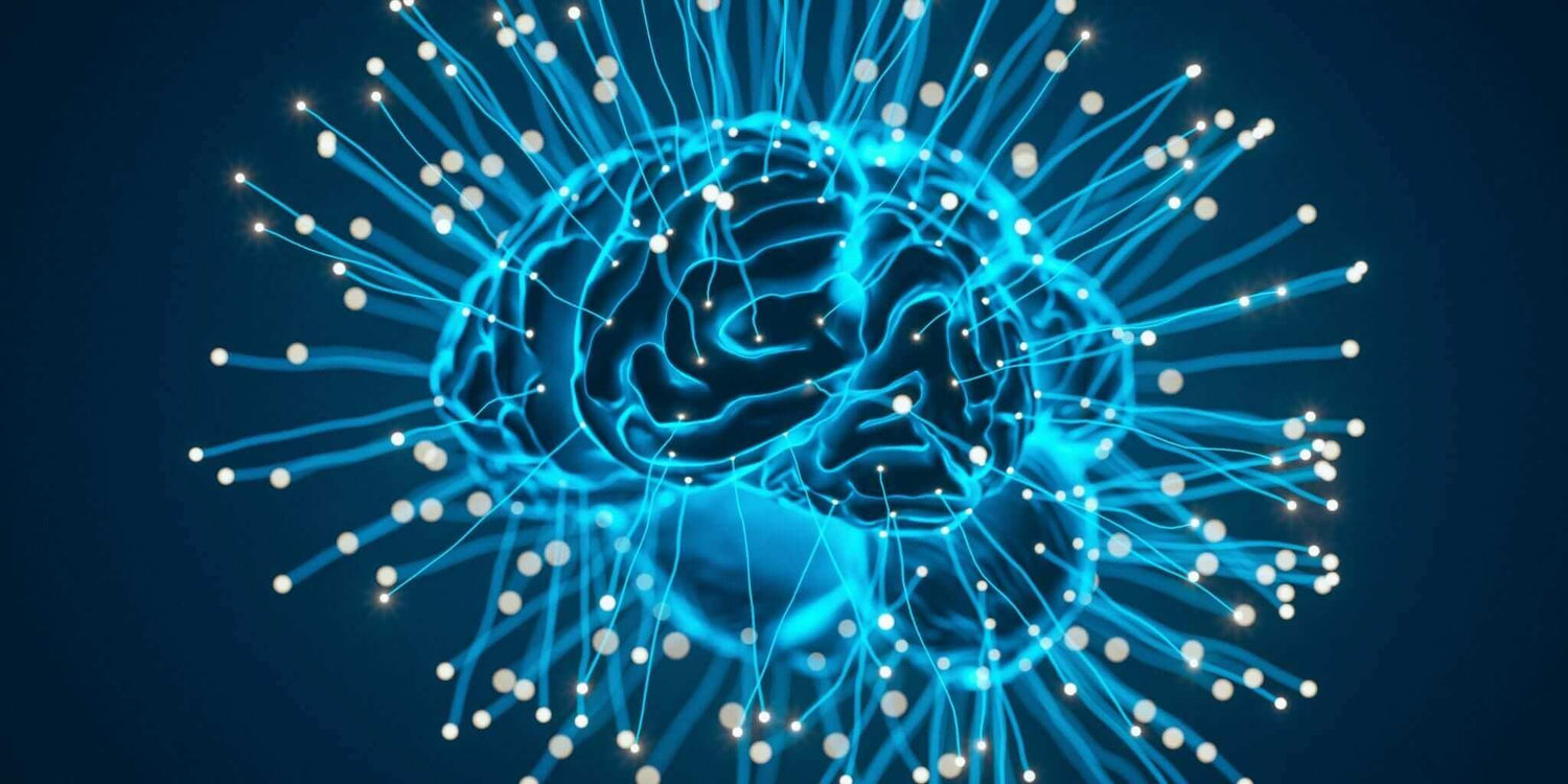 Abstract visualization of a brain illuminated with blue neural networks, representing enhanced memory and focus through natural solutions and brain-boosting herbs from Sacred Plant Co.