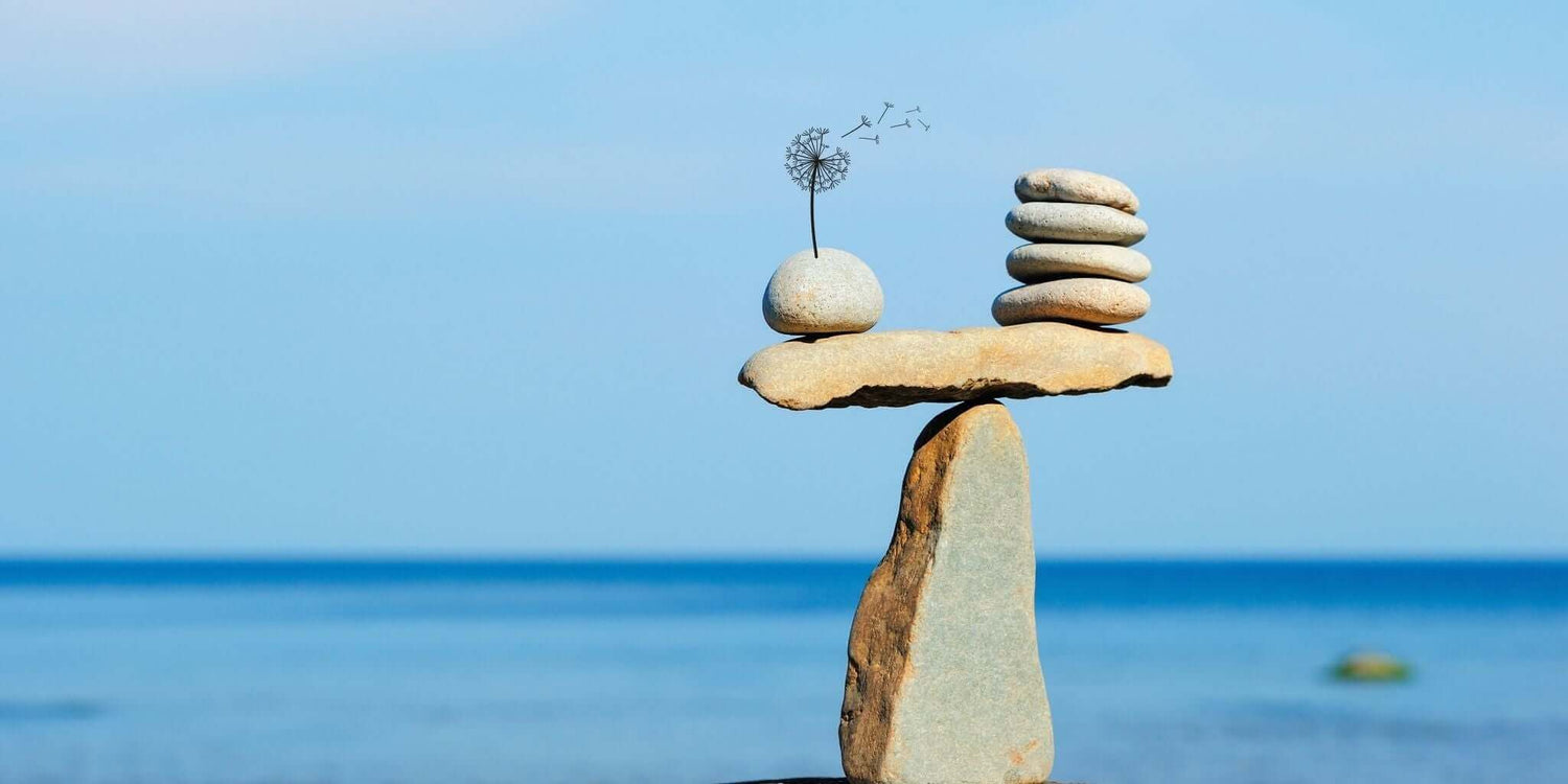 Balanced stack of stones with a dandelion seed head, symbolizing calm, balance, and natural detoxification by the sea, representing Sacred Plant Co’s focus on detox teas for body cleansing.