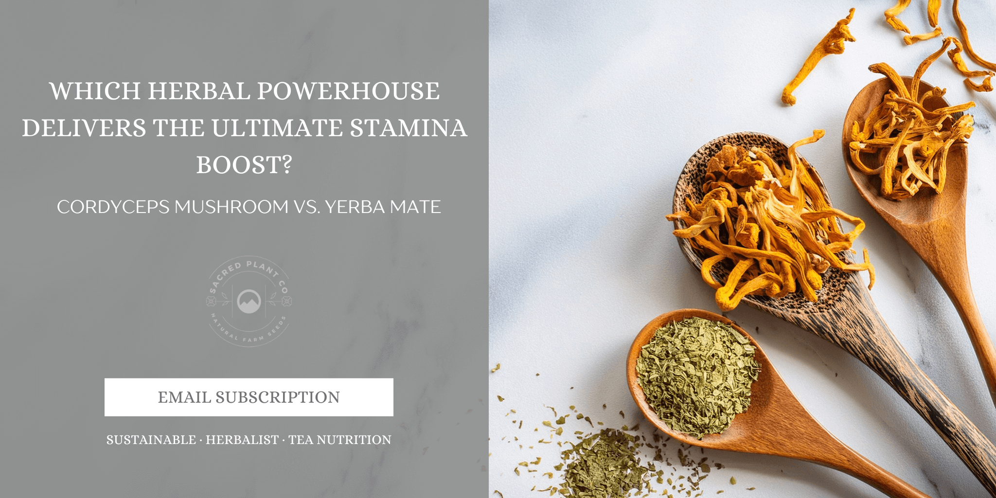 Premium dried Cordyceps mushrooms and Yerba Mate leaves displayed in wooden spoons on a white marble background.