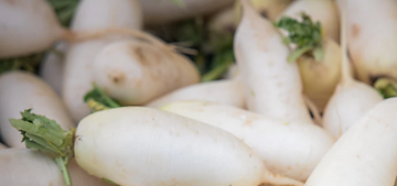 How to Grow Daikon Radish From Seed