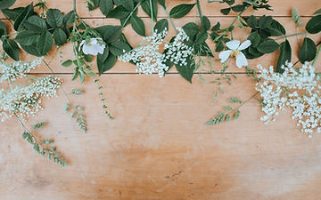 How to Grow Baby's Breath Flower From Seed!