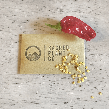How to Grow Shishito Peppers From Seeds