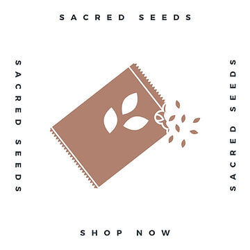 How to Grow Cardamom From Seed