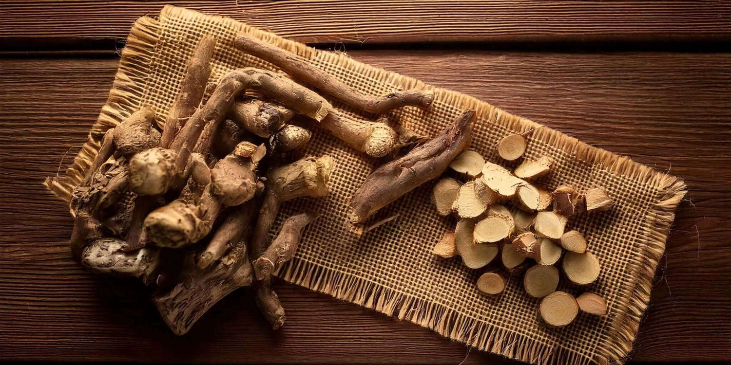 A close-up of freshly harvested burdock roots, some whole and others sliced into thin rounds, displayed on a burlap mat atop a rustic wooden surface.