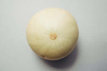 How to Grow Honeydew Melon From Seed