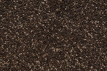 How to Grow Chia Plant from Seed