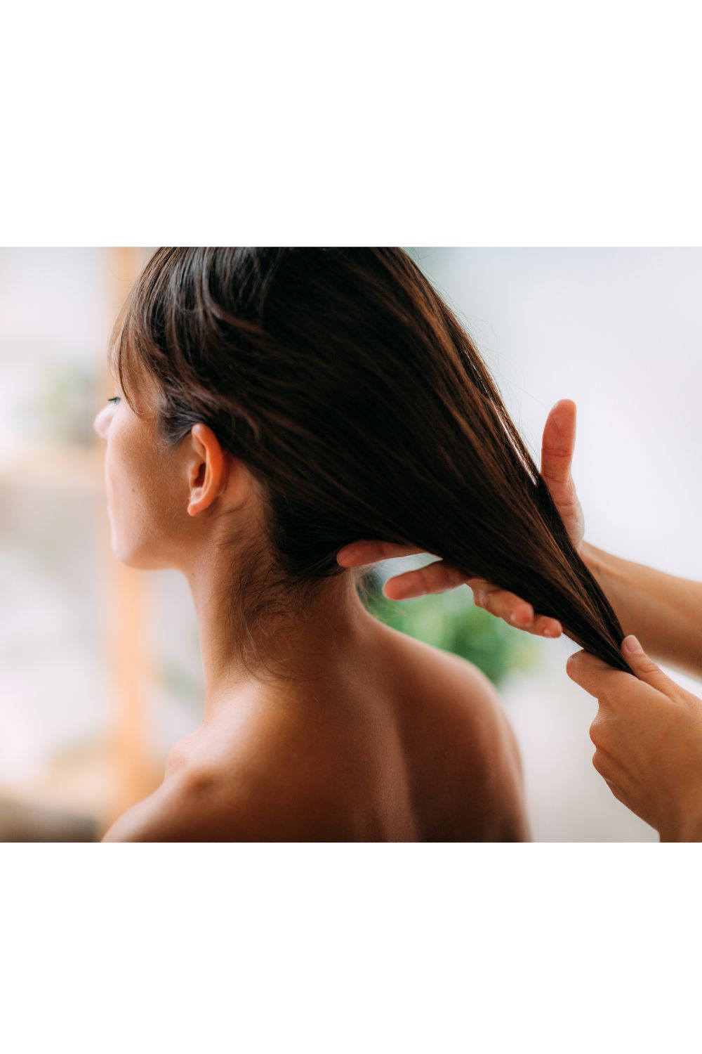 Alfalfa hair treatment for stronger, healthier hair. Woman receiving a scalp massage, promoting natural hair growth and nourishment.