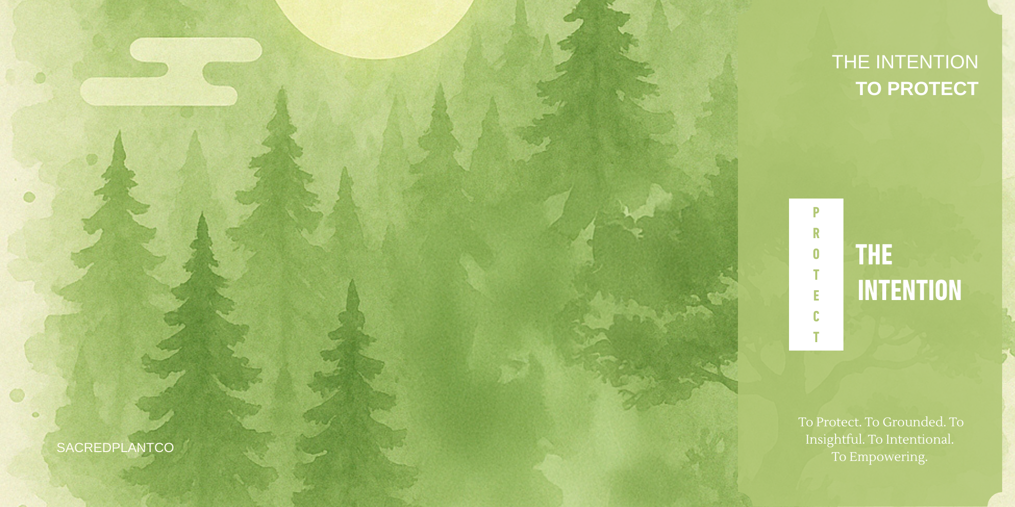 Forest-themed illustration with layered green pine trees and soft watercolor textures, evoking the herbal intention To Protect.