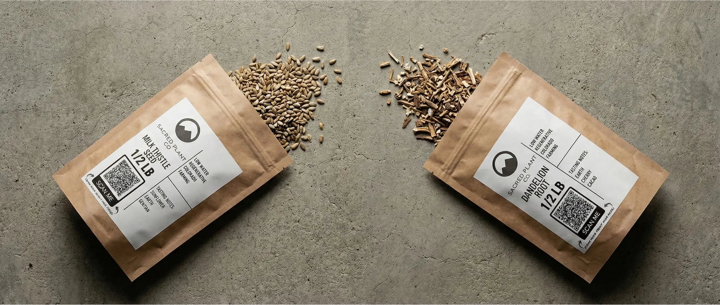 A side-by-side comparison of dried Dandelion Root and Milk Thistle seeds, illustrating the two primary botanical allies for liver health.
