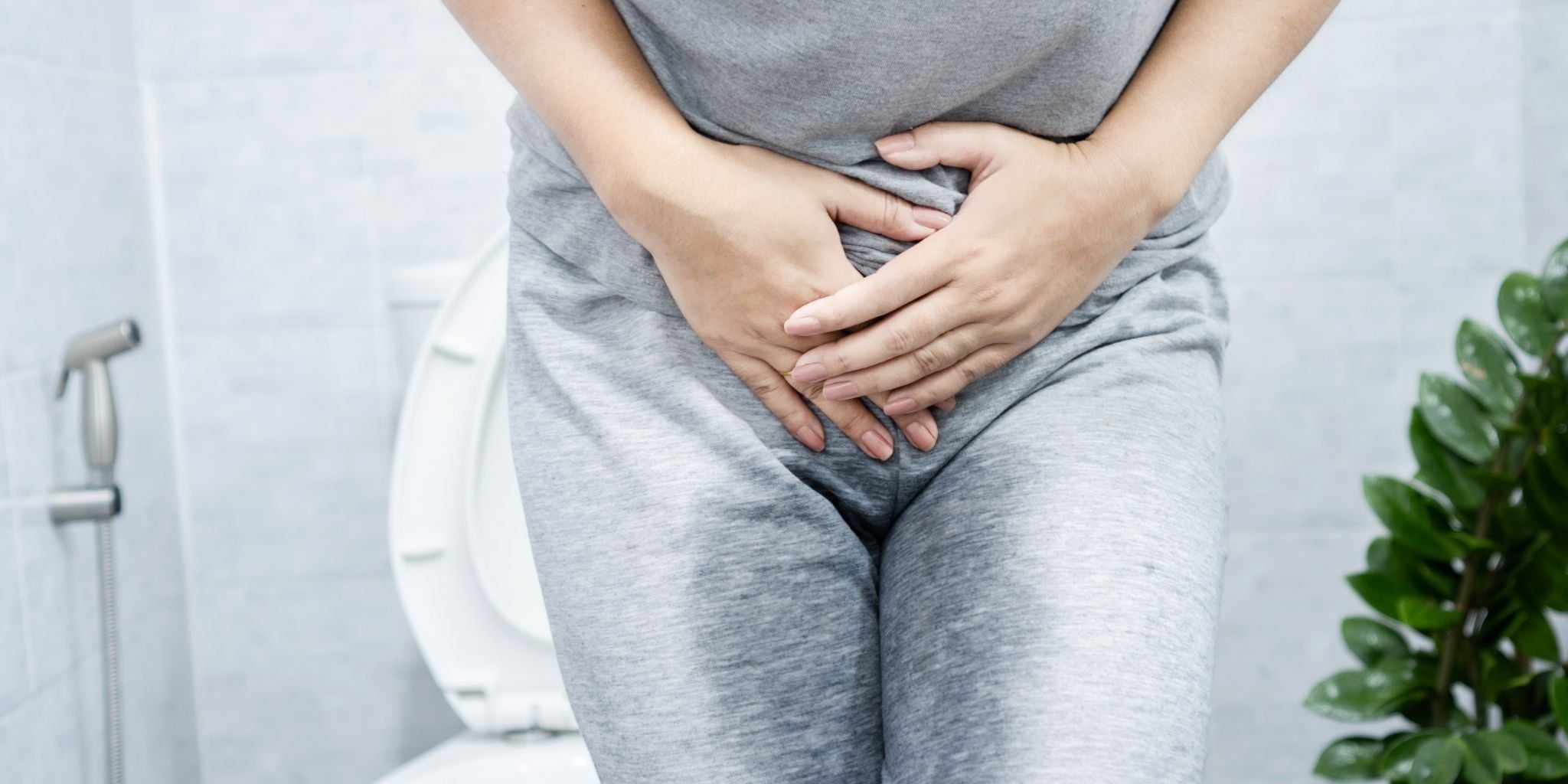 Person in gray clothing clutching lower abdomen while sitting on a toilet, suggesting discomfort, with a plant visible in the bathroom background.