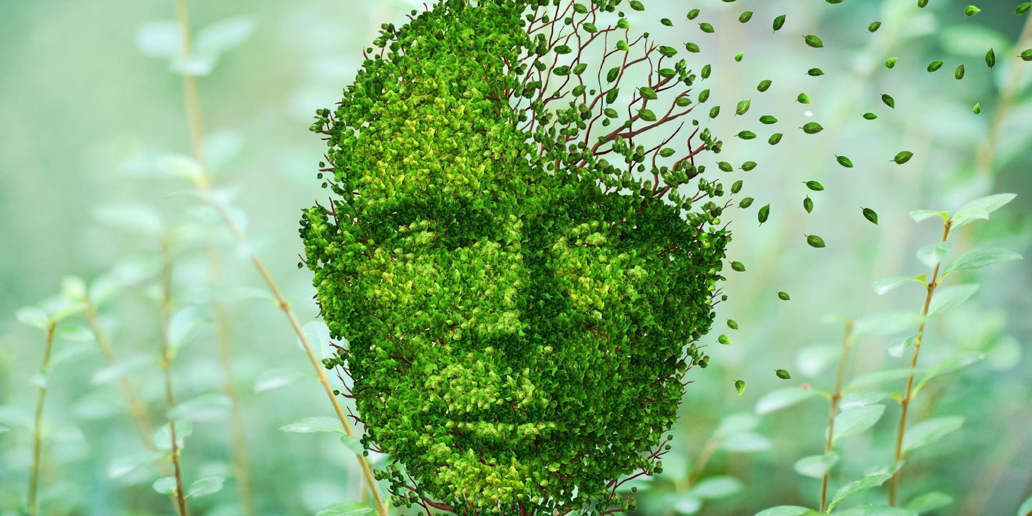 An abstract depiction highlighting the connection between nature and cognitive health. 