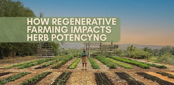 Regenerative herb rows at Sacred Plant Co’s Colorado farm with headline banner, illustrating how farming practices impact herb potency