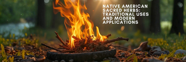 Ceremonial smudging fire burning traditional Native American sacred herbs in abalone shell with warm flames and smoke for spiritual cleansing ritual