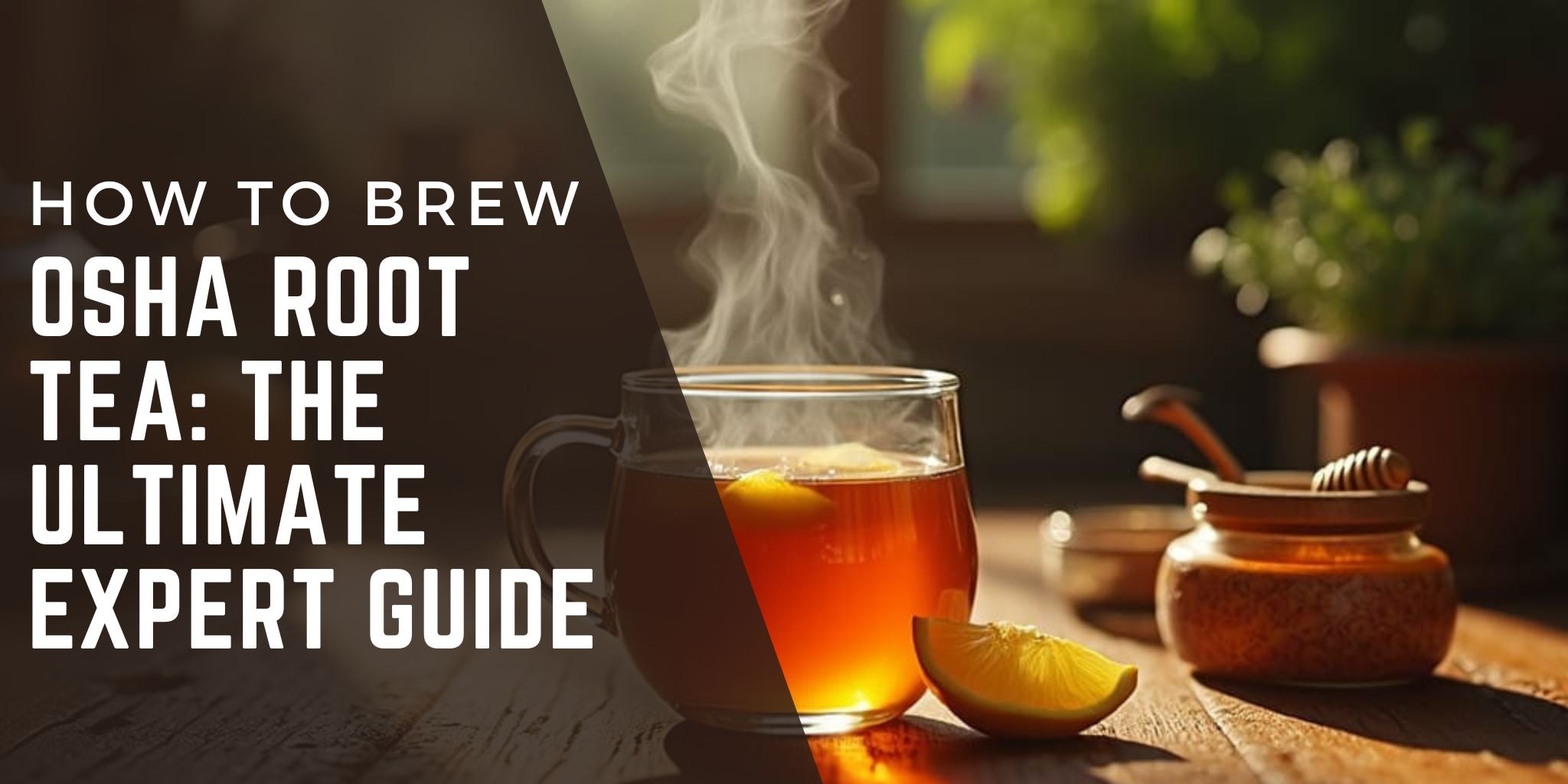 How to Make Osha Root Tea - A Healing Brew from Sacred Plant Co